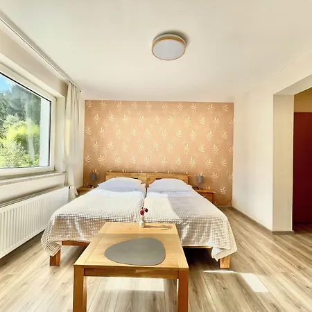 酒店 Am Berg Hotel-restaurant
